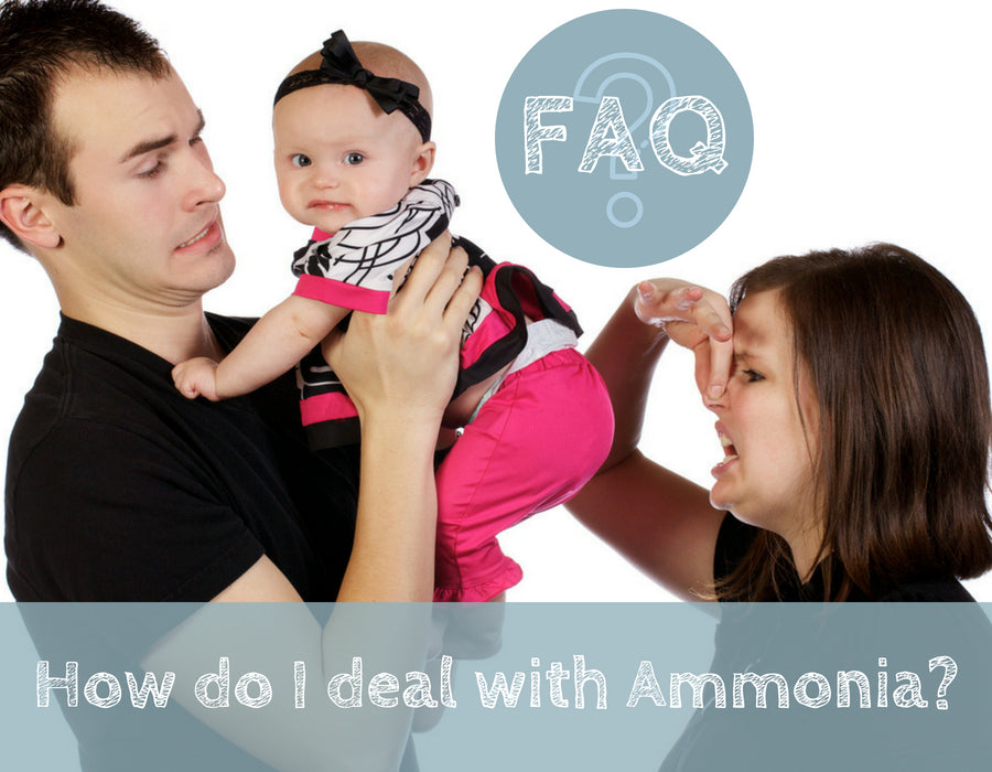 How do I deal with Ammonia?