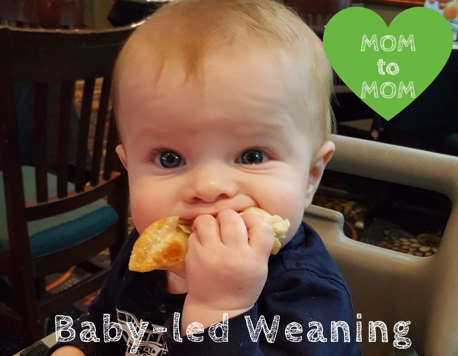 Orders mom led weaning